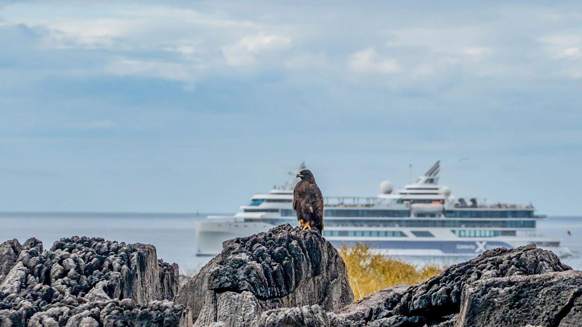 Galapagos : 20% de rabais sur toutes les croisières et forfaits croisière - background banner